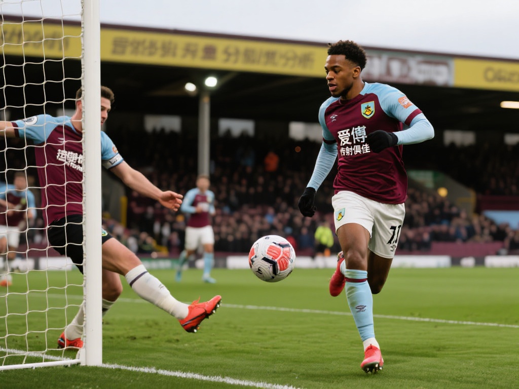 球充满热情 球充满热情